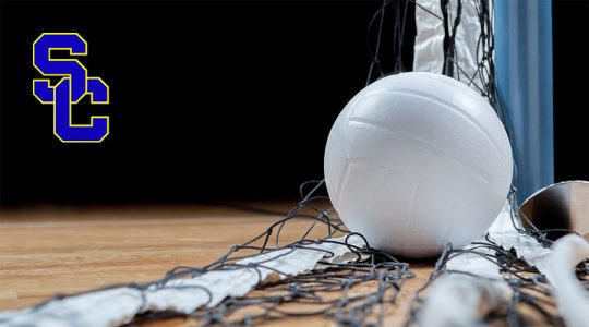 Photo of Volleyball